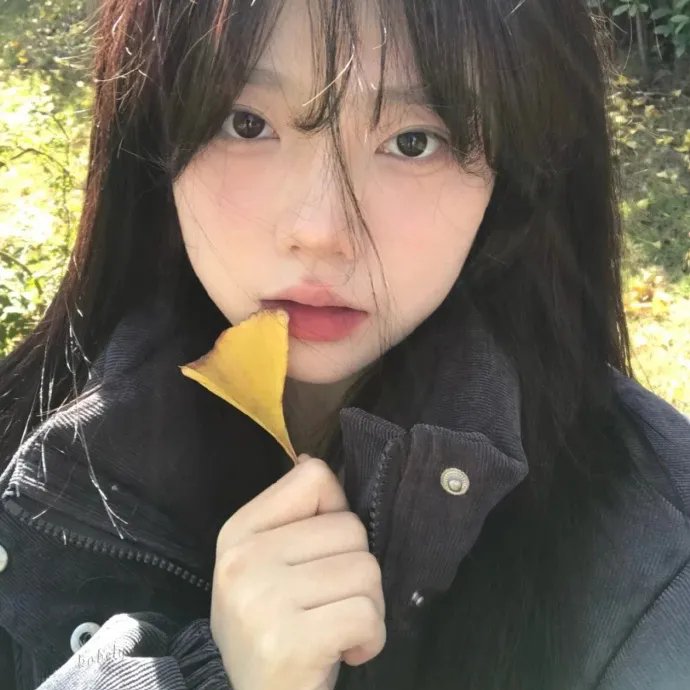 别惹白鸽之她的秘密