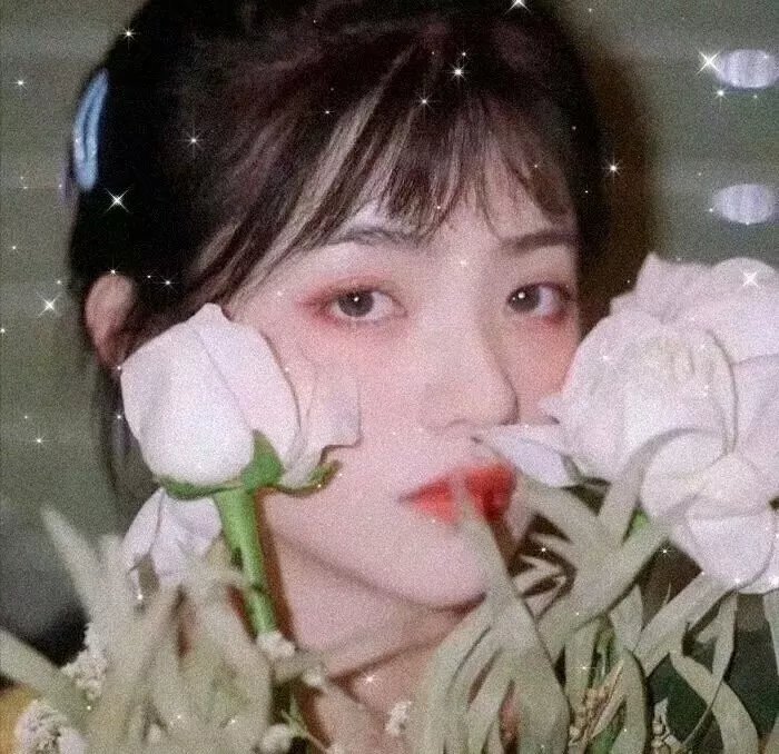 夏季无风